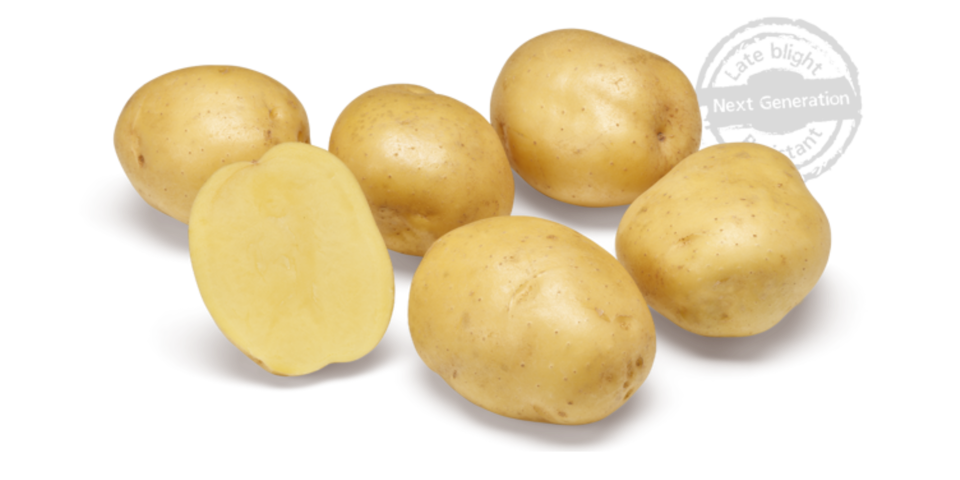 Ontwerp Zonder Titel 2025 06 18T134250.038