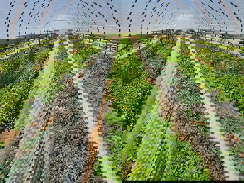 Whatsapp Image 2022 11 21 At 16.08.50 (1)