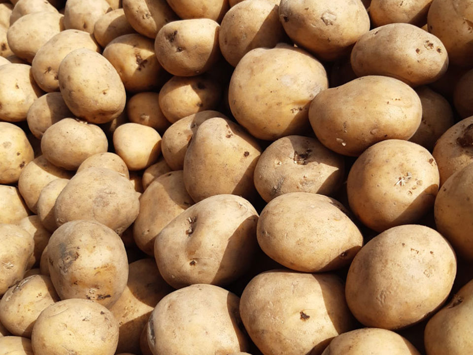 Zetmeel Aardappelen Semagri