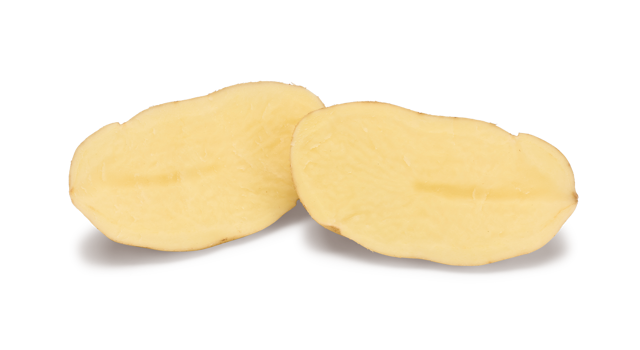 Spunta SNG CL®Agrico20