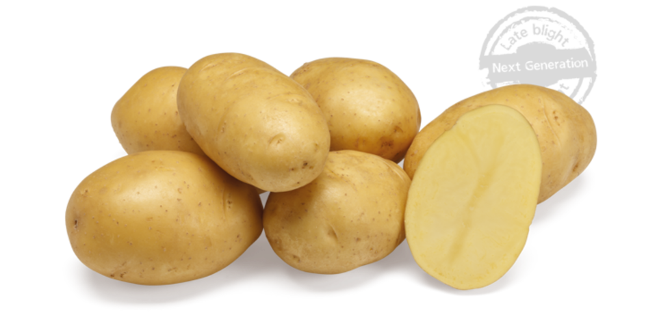 Ontwerp Zonder Titel 2025 06 18T134124.956