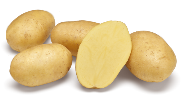 Aardappelras Vogue