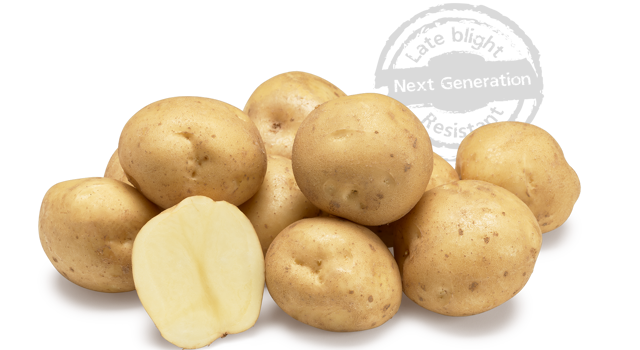 Fyone Next Generation