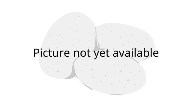 Foto Nog Niet Beschikbaar (2)