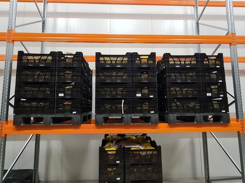 Pilot Kunststof Pallets 2