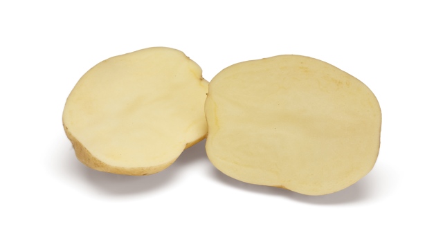 Pootaardappelras Premiere