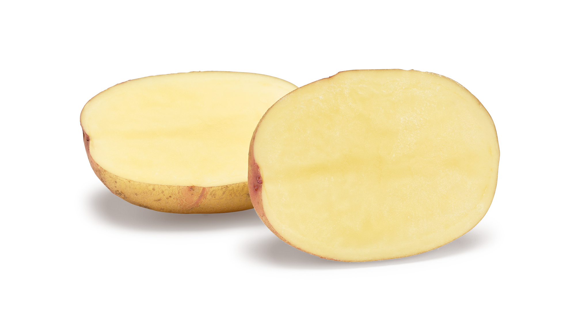Semente Batata Carolus Biol�gica