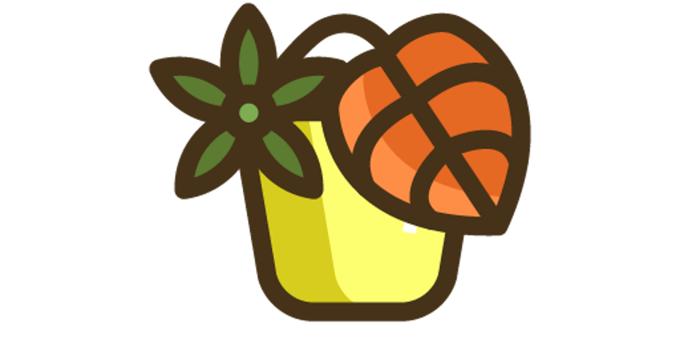 Poinsettia