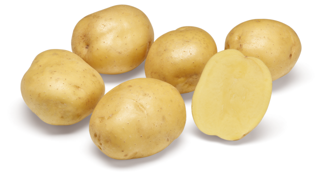 Websitefoto's HR Twister GRB CL©Agrico20