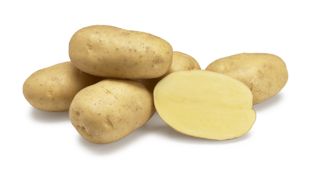 Agria nestje met doorsnee