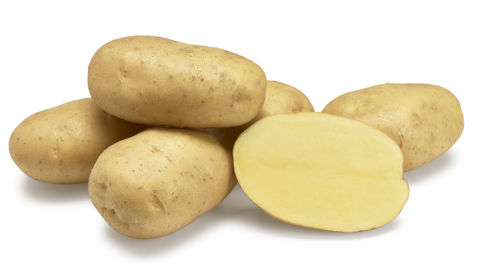 Agria nestje met doorsnee