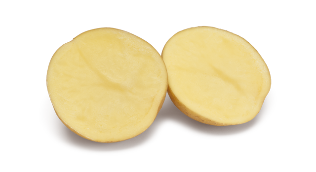 Pootaardappelras Beyonce