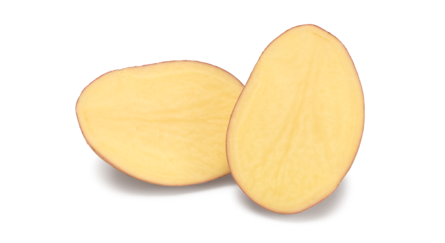 Pootaardappelras Esmee