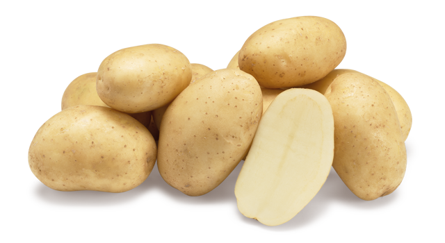 Arrow nestje met doorsnee