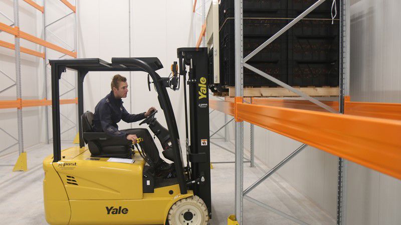 Miniknollen In Stelling Plaatsen (1)