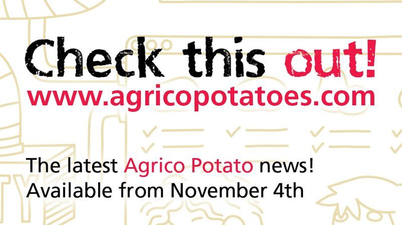 Online Platform Banner