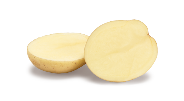 Pootaardappelras Riviera