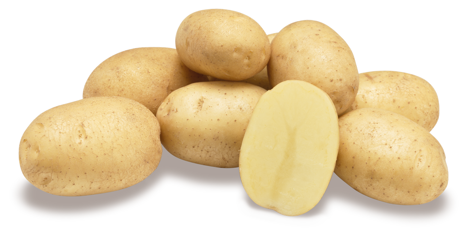 aardappelras-artemis