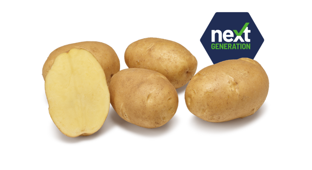 Next Generation Nirvana