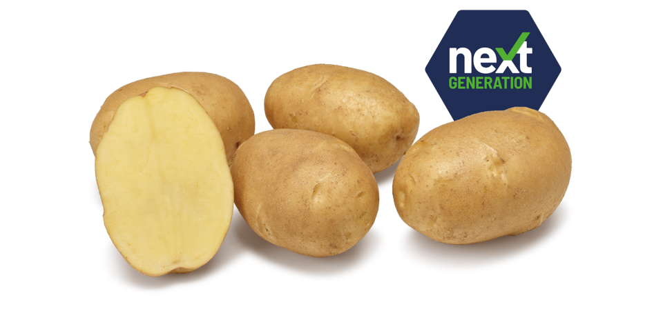 Next Generation Nirvana