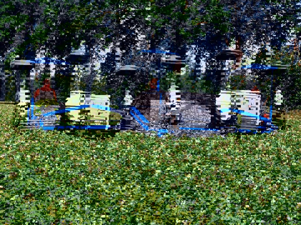 109522641 3100482223353847 612378089347300850 N