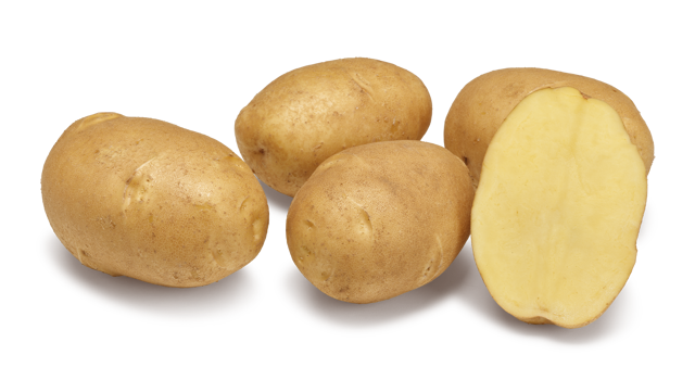 Aardappelras Nirvana