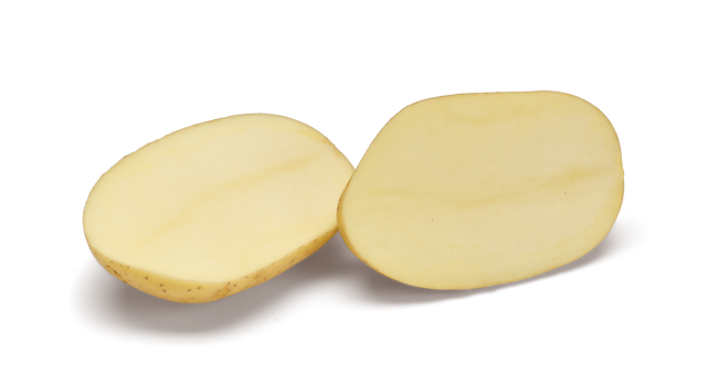 Pootaardappelras Jolene