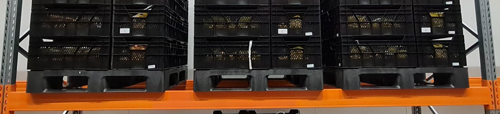 Aardappelrooidag (6)