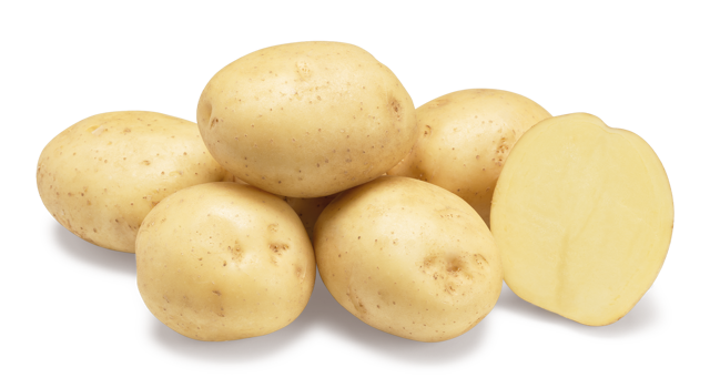 Aardappelras Riviera