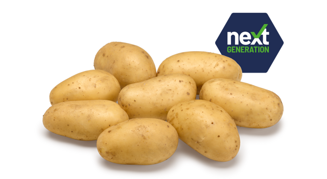 Next Generation Levante