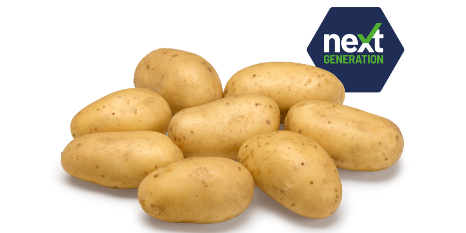 Next Generation Levante