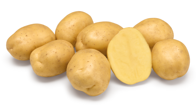 Aardappelras Thalia