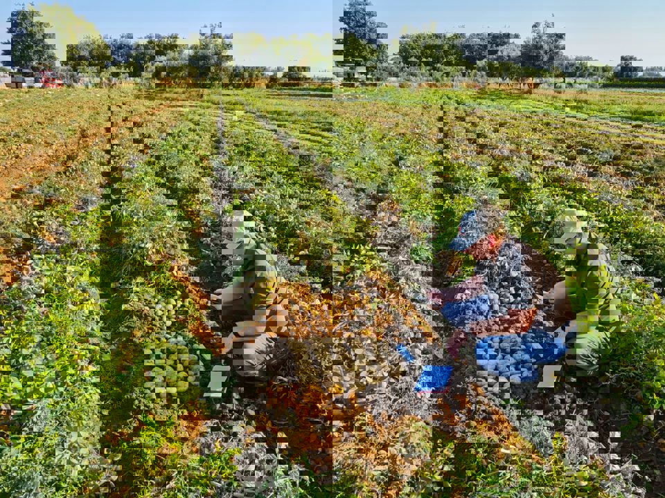 Whatsapp Image 2022 11 21 At 16.08.51 (1)