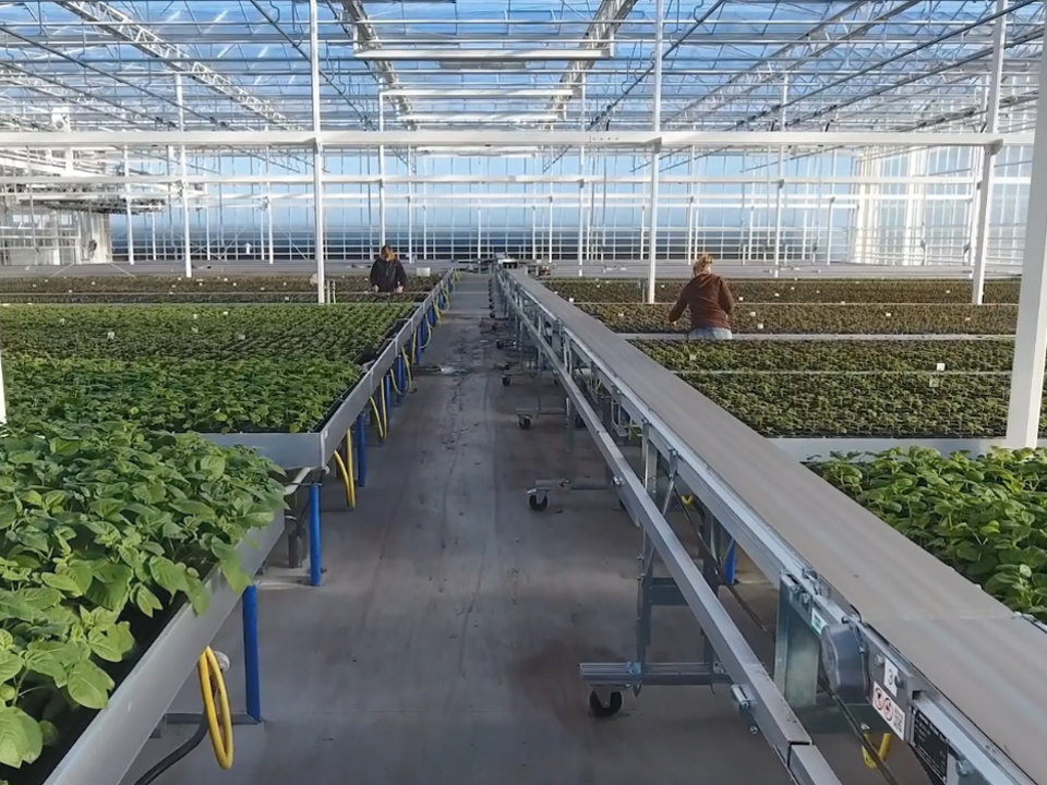 agrico research