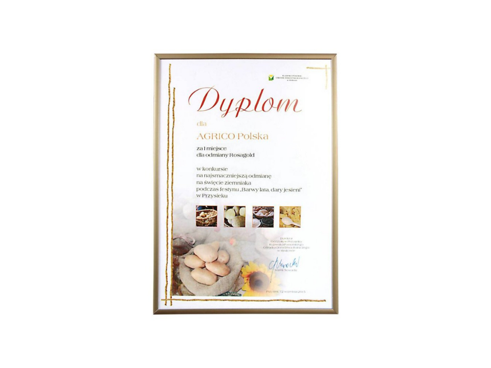Dyplom 2015 (960 X 720 Px)