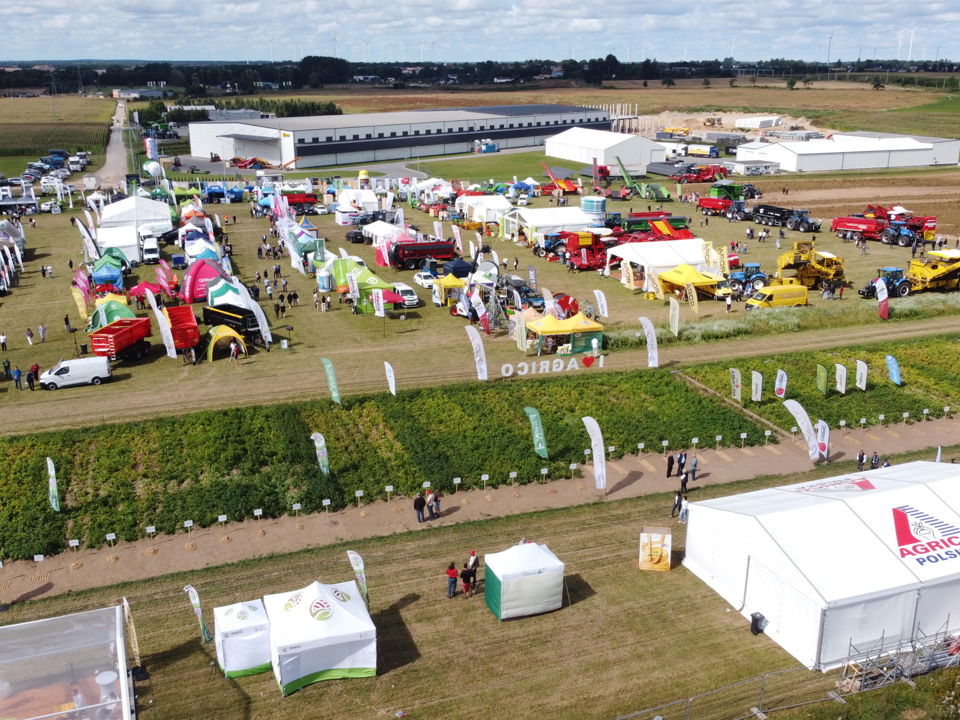 Polen Natinal Potato Day Sept 2025 6