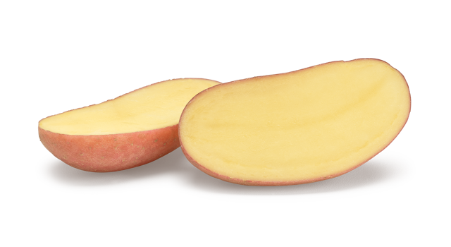 Websitefoto's HR Cerisa SNG CL©Agrico20