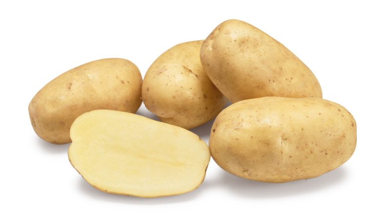 Lugano nestje met doorsnee