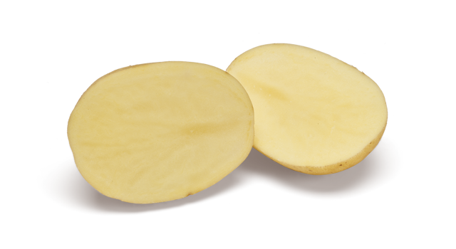 Severina SNG CL®Agrico20