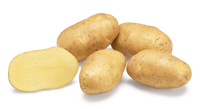 Aardappelras Babylon