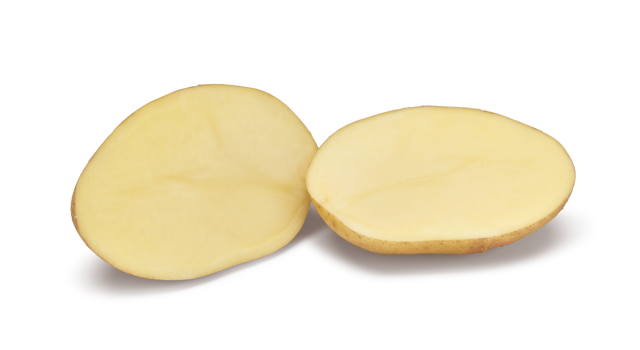 Websitefoto's HR Picasso SNG CL©Agrico20