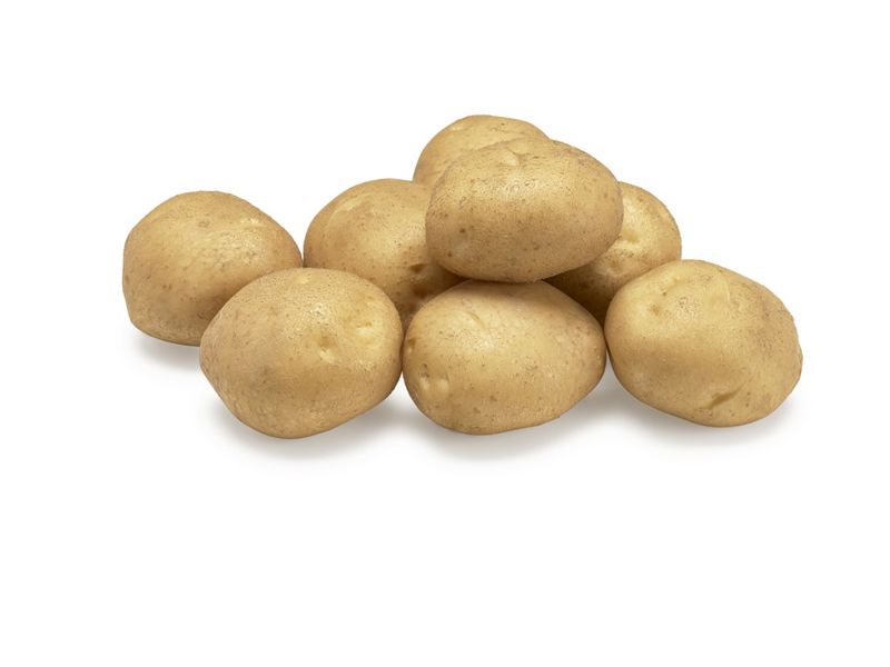 Nofy tubers 2020