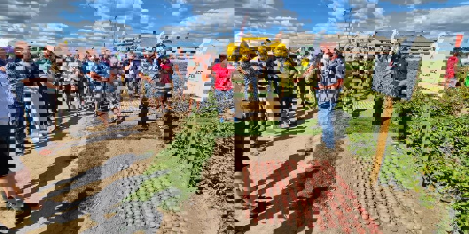 Polen Demonstration Plots Sept 2025 16.