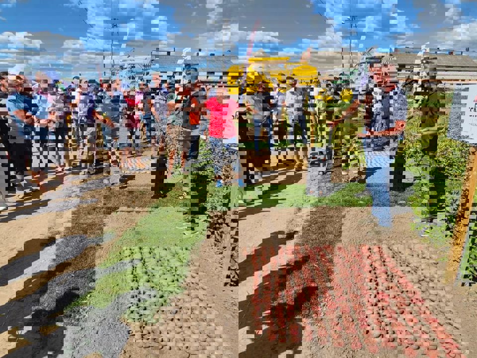 Polen Demonstration Plots Sept 2025 16.
