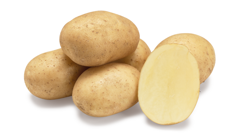 aardappelras-arizona