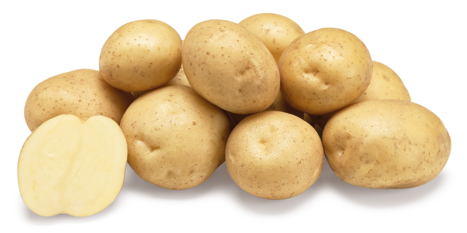 Sante nestje met doorsnee