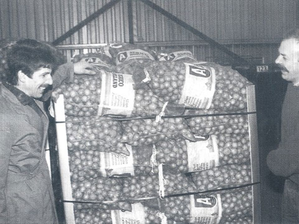 1977 Uien