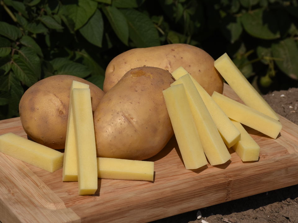 Potato markies with pieces of French Fries