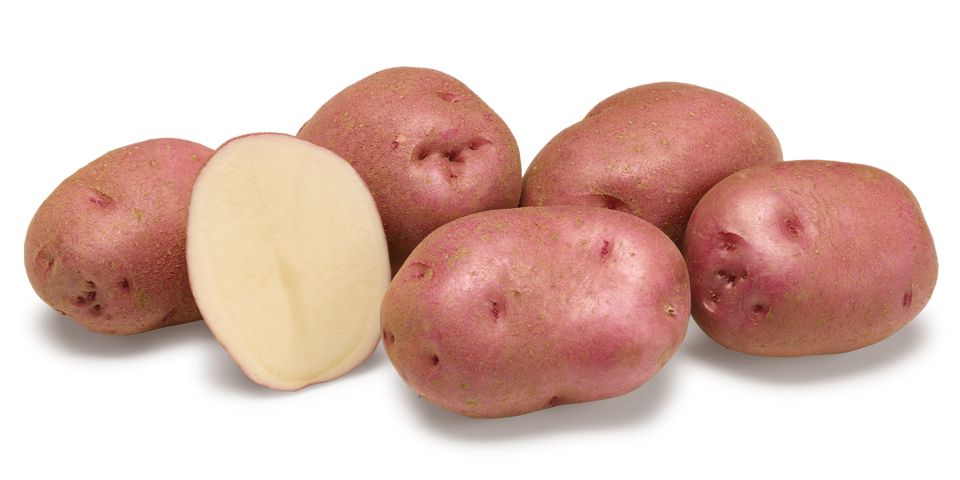 Rudolph nestje met doorsnee