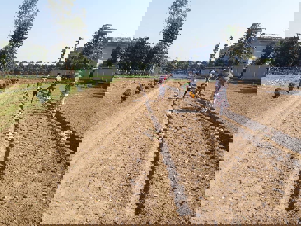 Planting 9